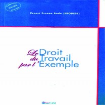 Demo Product Sample